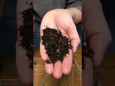 how to make a terrarium in a lava lamp