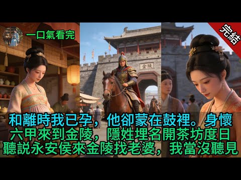 和離時我已孕，他卻蒙在鼓裡。身懷六甲來到金陵，隱姓埋名開茶坊度日，聽説永安侯來金陵找老婆，我當沒聽見