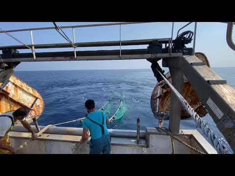 Pesca de arrastre Garrucha (Almeria)