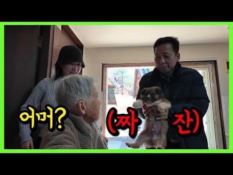 치매 할머니 앞에서 손자가 모르는 척 지나간다면?