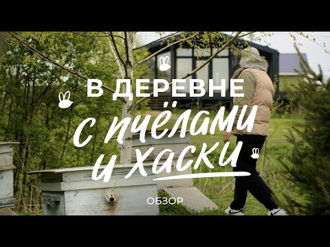 Country Living: How Much Does a Frame House Cost, How to Keep Bees, and How to Maintain a Pack of...