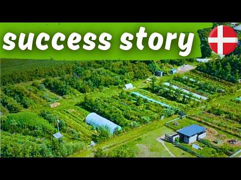 Regenerative Farm in Denmark: A Family’s Success Story | Full Documentary