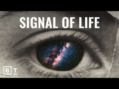 What the absence of aliens on Earth really tells us | David Kipping