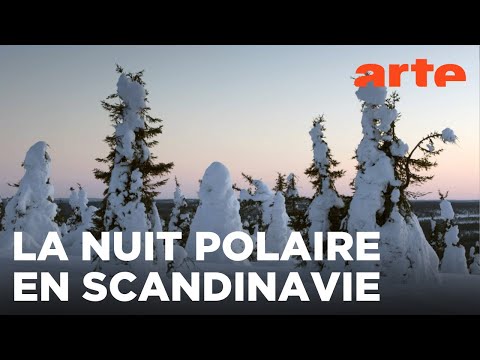 Quand revient le jour | La Scandinavie arctique | ARTE Évasion