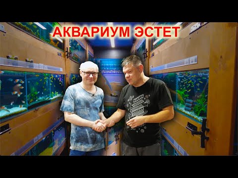 That's right! Aquarium Estet, Rostov-on-Don