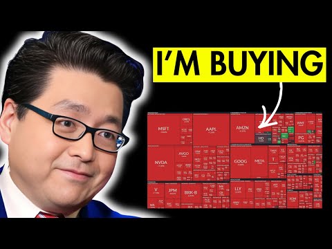 Everyone’s Dumping Visa, Mastercard & Software Stocks — I’m Buying These