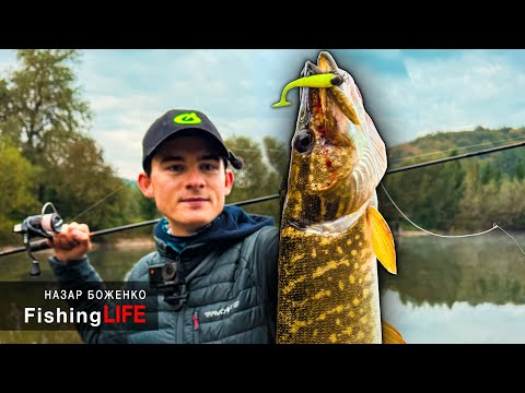 Fishing for Pressed PIKE and Perch - How to Catch Pike When It Doesn't Bite?