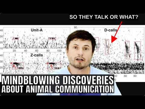 Animal Communication Studies Reveal Mindblowing Results