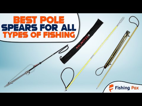 7 Best Pole Spears For All Types Of Fishing