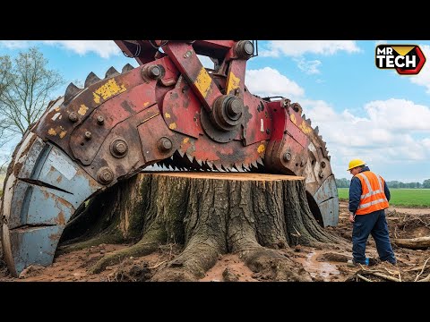 Extreme Dangerous Fastest Big Chainsaw Cutting Tree Machines | Monster Stump Removal Excavator #69
