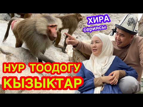 НУР ТООГО чыгып, ХИРА үңкүрүн КӨРҮП түштүк - МАЙМЫЛДАР көп экен - УМРА САПАРЫ 2022 - 34-серия