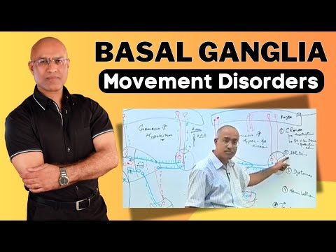 Basal Ganglia and Movement Disorders | Neurology