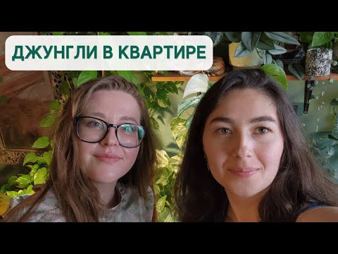 ОБЗОР коллекции РАСТЕНИЙ / Идём В ГОСТИ к Анастасии!