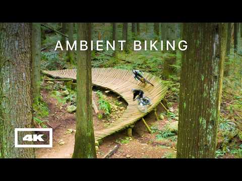 1 Hour of Mountain Biking – Relaxing Sounds of MTB