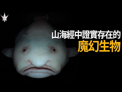 山海經中被證實存在的「魔幻生物」，直到現在依舊維持原貌，古人曾經探索之地遠比我們想像中的大。