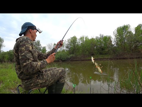В ЭТОМ МЕСТЕ РЫБА НА ВСЕ КРЮЧКИ БРОСАЕТСЯ. ТРИ РЕКИ. Рыбалка на поплавочную удочку и закидушку.