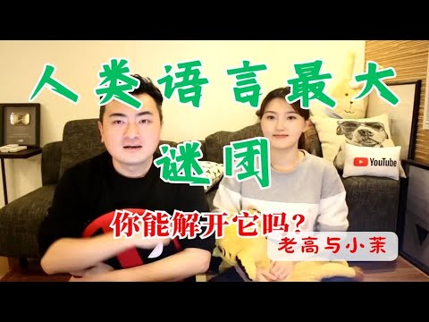 人类语言最大谜团，你能解开它吗？  老高与小茉 Mr & Mrs Gao