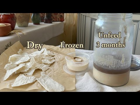Don’t Throw Away Your Starter — After 3 Months It Can Still Come Back! Dry, Frozen & Fridge Test