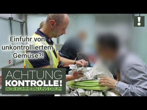 "Regeln sind Regeln!" 🤷 20kg illegal eingeführtes OBST & GEMÜSE abgefangen! | Achtung Kontrolle