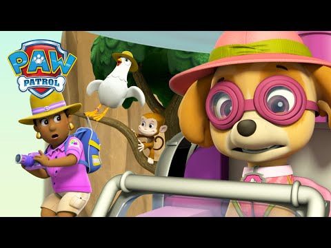 天天在山上救了咕咕雞和古威市長！- PAW Patrol 汪汪隊立大功 - 兒童卡通