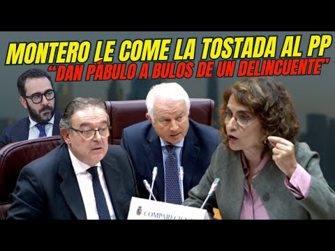MARÍA JESÚS MONTERO LE COME LA TOSTADA AL SENADOR CAMPS EN COMPARECENCIA POR CASO KOLDO 💥FINAL ÉPICO