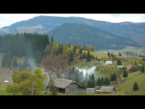 Пустіють хати на високогірному хуторі Кармазин в селі Полянки