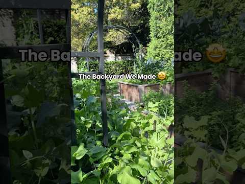 My client started off with a bunch of grass and now she has a backyard garden oasis #transformation