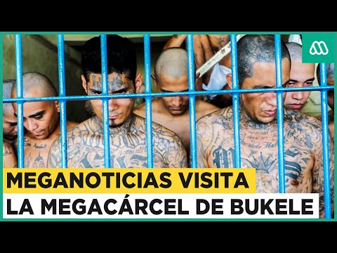 La cacería de las maras: ¿Están en Chile miembros de la peligrosa organización criminal salvadoreña?