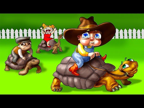 Amazing Animal Sports Around The World