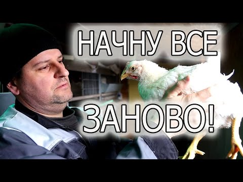 ДОМАШНИЙ КОМБИКОРМ ДЛЯ БРОЙЛЕРОВ - ПРОВАЛ!!! ИЛИ НОВЫЙ ОПЫТ??