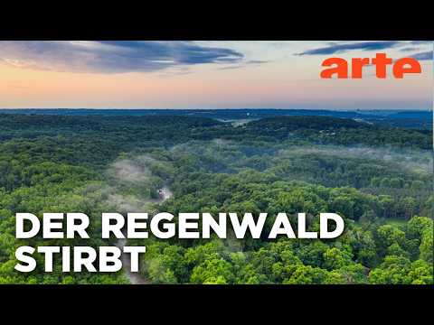 Threatened Amazon: The Dirty Truth | Documentary HD | ARTE