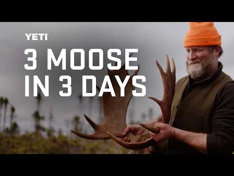 Moose Hunt, Cook, & Camp with World Class Chefs