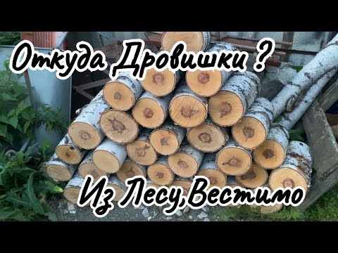 "Отец,слышишь,рубит,а я отвожу" Валежник на дрова для бани.