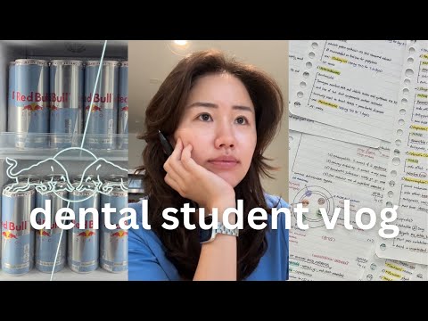 week in the life of a dental student