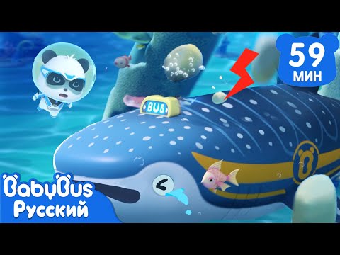 Автобус - китовая акула | Кики и его друзья | Суперспасатели | Сборник мультиков для детей | BabyBus