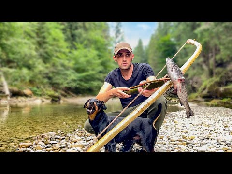 Выживание в Карпатах в горах. Сделал арбалет подстрелил форель Насобирал и пожарил  белые грибы
