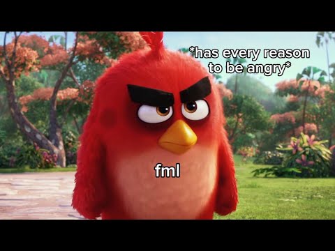 Red being the most sane and relatable character in “The Angry Birds Movie”