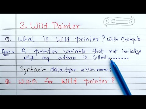 wild pointer in c with example | What is Wild Pointer? | Learn Coding