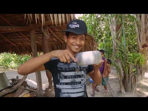 Bibiru Kaikuxi Panema