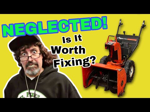 NEGLECTED ARIENS! Is It Worth Fixing? Let's See