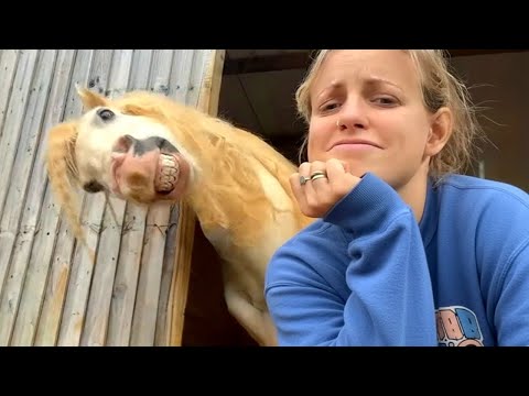 When God Sends You a Comedian Horse 😂 Funniest Horse Video 2026