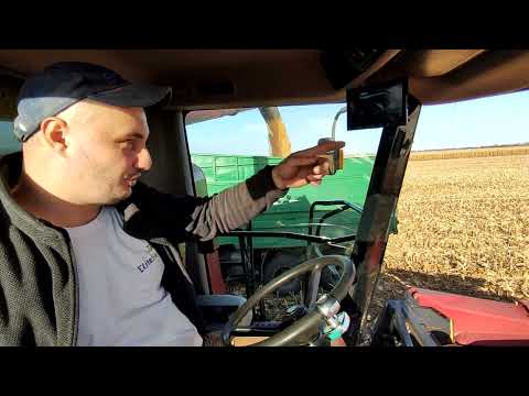 124ц/Га Мега Результат Карві МК3131 Уборка кукурудзи 2022 Кейс 2388 ЗІЛ КАМАЗ