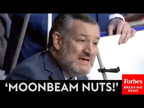 BREAKING NEWS: Ted Cruz Goes Nuclear On Dem Colleagues For Supporting 'Loons' Nominated For Bench
