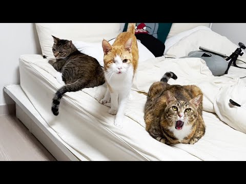 요즘 행복해서 자랑 한 번 하겠습니다