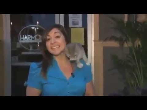 Animal BITES Woman On LIVE TV