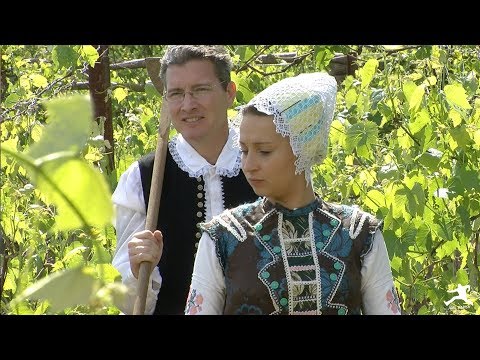 Slovakia: Journey into Local Wine & Food Experience