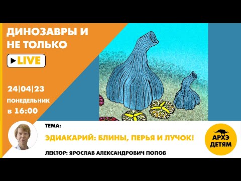 Занятие "Эдиакарий: блины, перья и лучок!" кружка "Динозавры и не только" с Ярославом Поповым