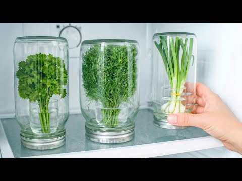 Stop freezing your herbs! Chef’s secret to fresh green onion, parsley, herbs for months| Click DIY