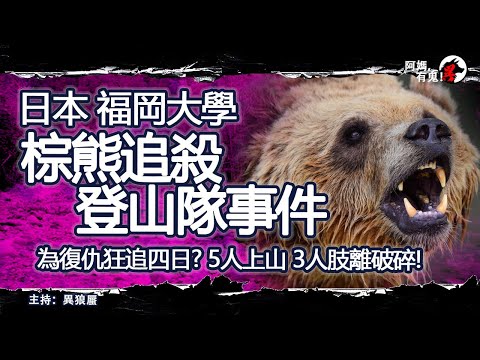 日本福岡大學棕熊追殺登山隊事件【恐怖過鬼EP030】為復仇狂追四日? 5人上山 3人肢離破碎!｜天災人禍獸殺｜不解之迷｜未知生物