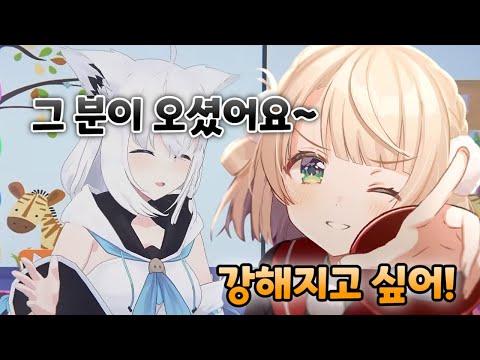 미에현에선 최강이었던 내가 홀로에선 최약체? [ 홀로라이브 / 사쿠라 미코 / 시구레 우이 / 시라카미 후부키 / 미나토 아쿠아 / 라플라스 ]